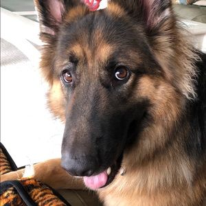 Meet your Posher, Ashley